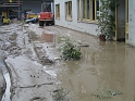 bild (24)